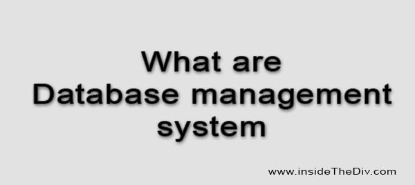What are database management system